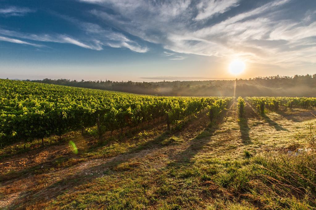 Montepulciano Stazione Villa Porticciolo מראה חיצוני תמונה